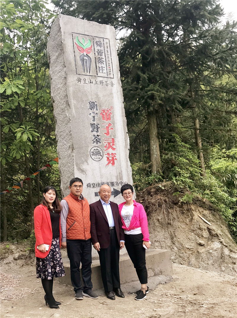 商会终身名誉会长曾小山一行考察新宁10万亩野生茶项目