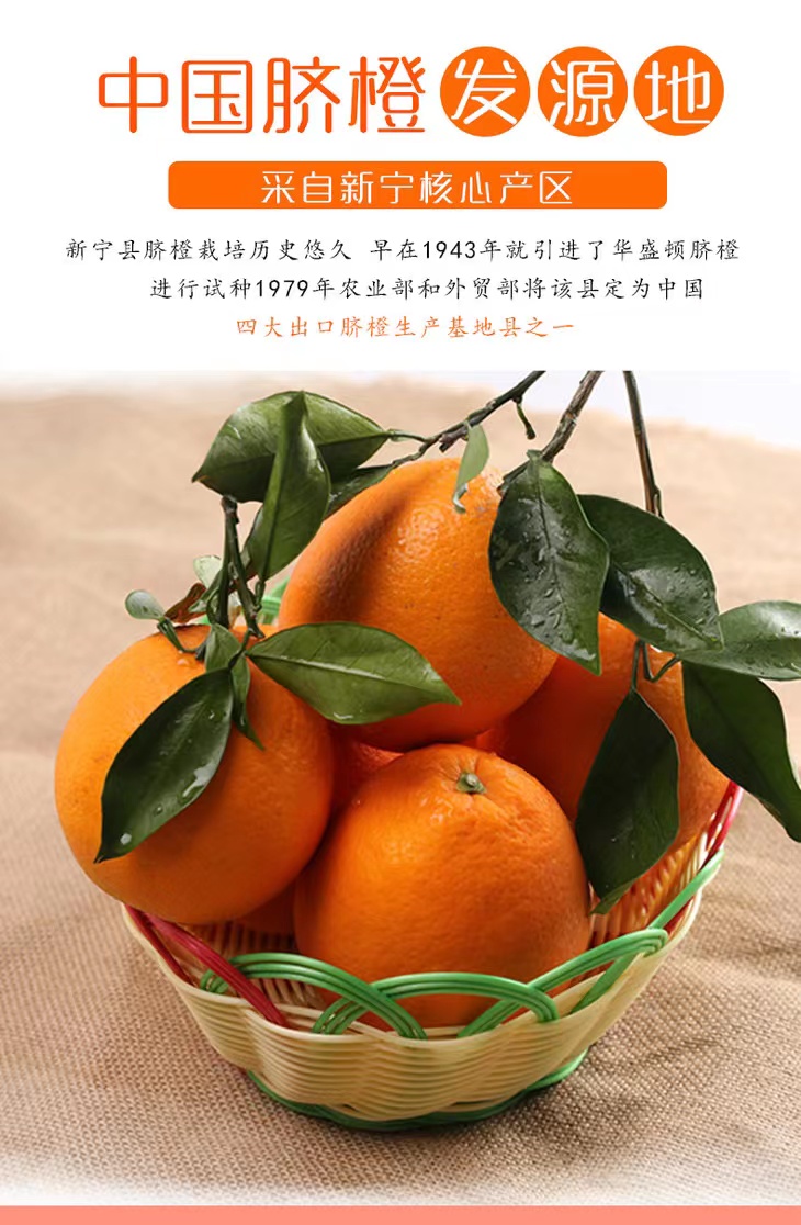 a09b86e8ca68ec425bbb76971b11e4a.jpg